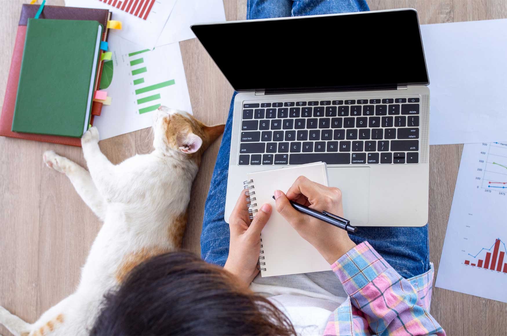 COLLEGE ESSAY REVIEWS