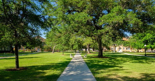 3 Essential Stops for Your Senior Year College Planning Journey