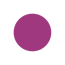 RISLA_SOLID_CIRCLE_ICON_01-2