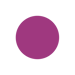 RISLA_SOLID_CIRCLE_ICON_01-2