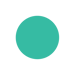 RISLA_SOLID_CIRCLE_ICON_03-1