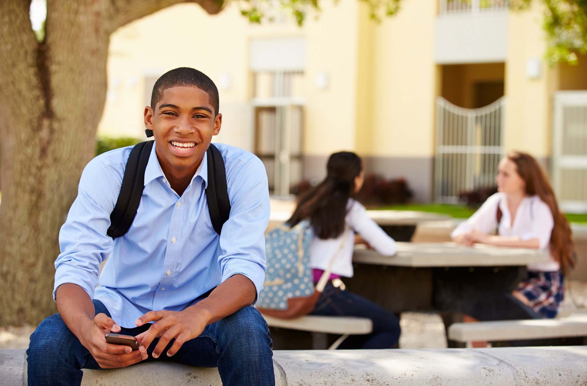 HIGH SCHOOL CURRICULUM